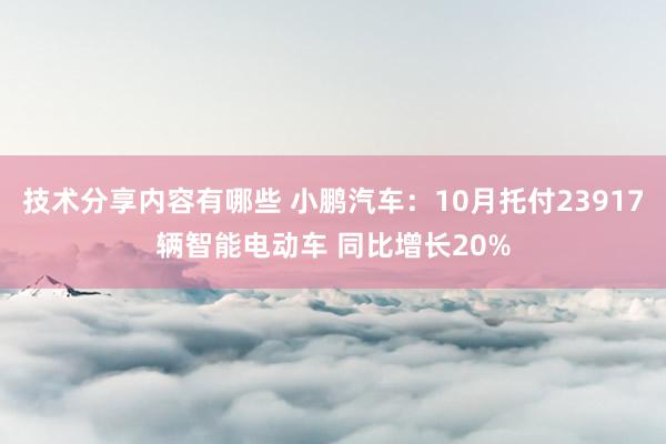 技术分享内容有哪些 小鹏汽车：10月托付23917辆智能电动车 同比增长20%