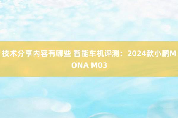 技术分享内容有哪些 智能车机评测：2024款小鹏MONA M03