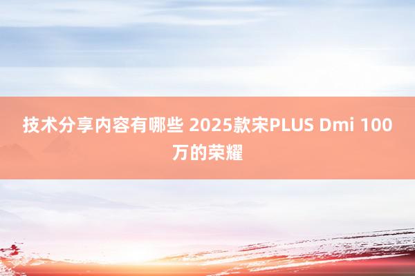 技术分享内容有哪些 2025款宋PLUS Dmi 100万的荣耀