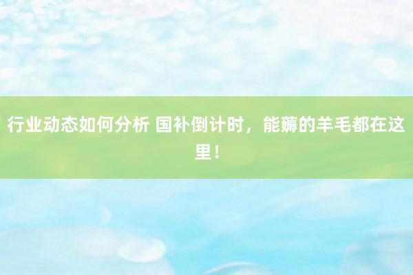 行业动态如何分析 国补倒计时，能薅的羊毛都在这里！