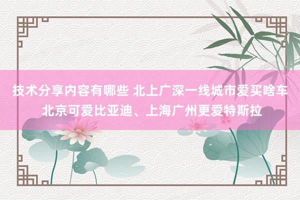 技术分享内容有哪些 北上广深一线城市爱买啥车 北京可爱比亚迪、上海广州更爱特斯拉