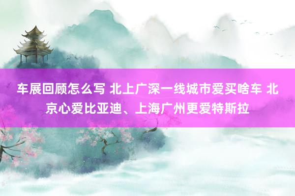 车展回顾怎么写 北上广深一线城市爱买啥车 北京心爱比亚迪、上海广州更爱特斯拉