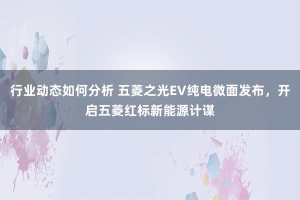 行业动态如何分析 五菱之光EV纯电微面发布，开启五菱红标新能源计谋