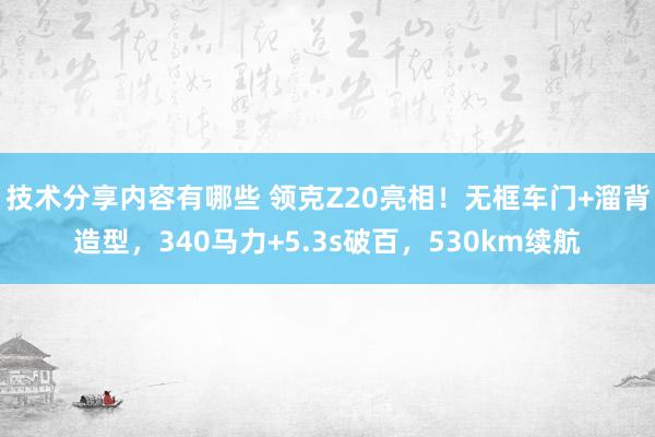 技术分享内容有哪些 领克Z20亮相！无框车门+溜背造型，340马力+5.3s破百，530km续航