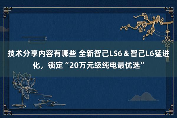 技术分享内容有哪些 全新智己LS6＆智己L6猛进化，锁定“20万元级纯电最优选”