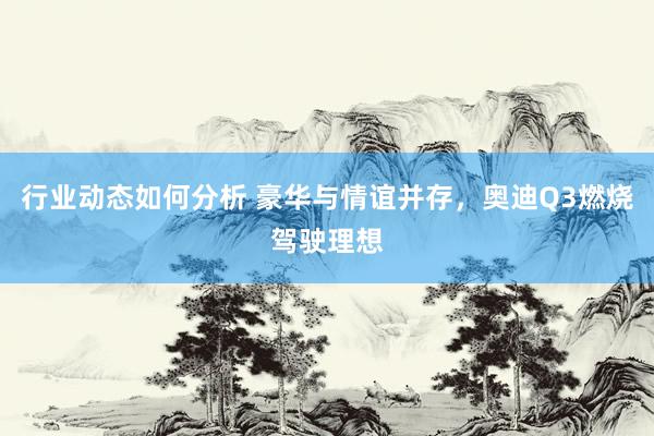 行业动态如何分析 豪华与情谊并存，奥迪Q3燃烧驾驶理想