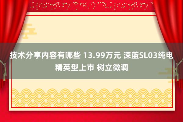 技术分享内容有哪些 13.99万元 深蓝SL03纯电精英型上市 树立微调