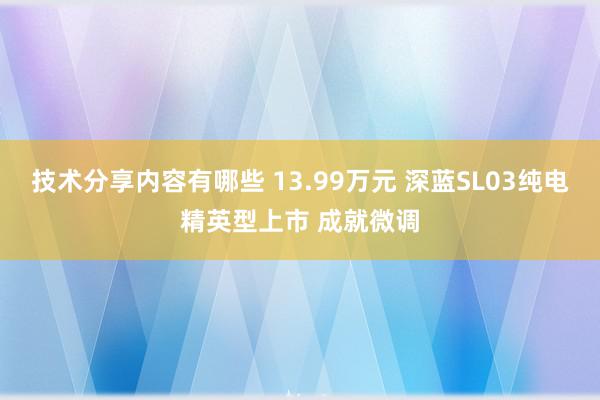 技术分享内容有哪些 13.99万元 深蓝SL03纯电精英型上市 成就微调