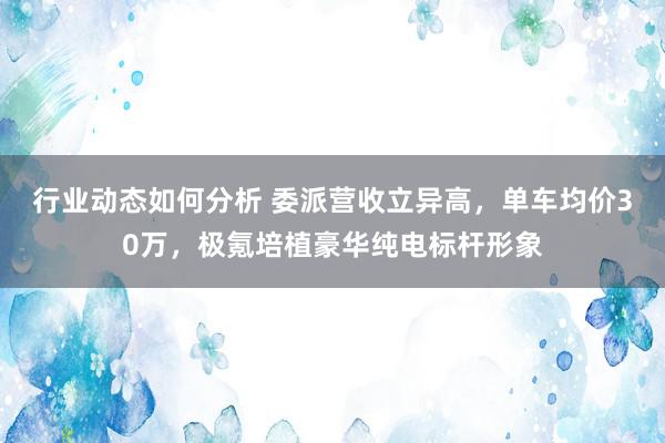 行业动态如何分析 委派营收立异高，单车均价30万，极氪培植豪华纯电标杆形象