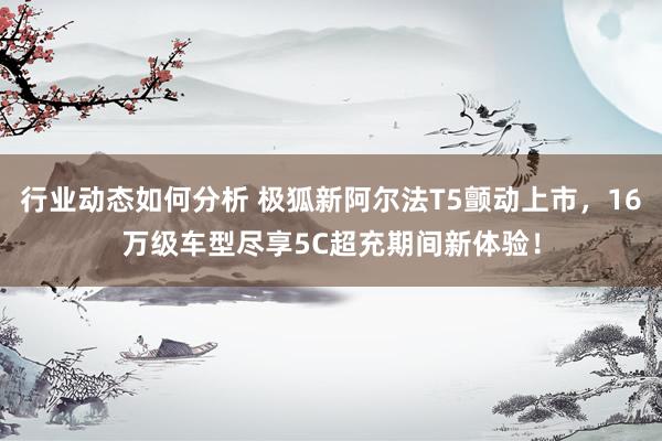 行业动态如何分析 极狐新阿尔法T5颤动上市，16万级车型尽享5C超充期间新体验！