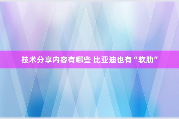 技术分享内容有哪些 比亚迪也有“软肋”