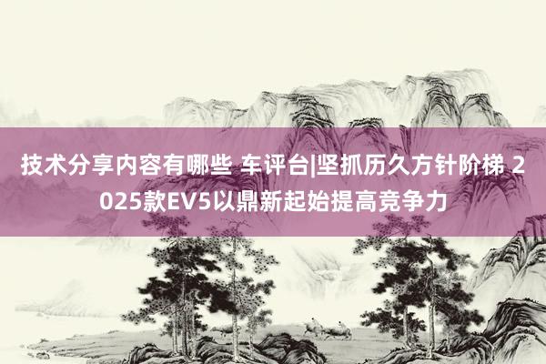 技术分享内容有哪些 车评台|坚抓历久方针阶梯 2025款EV5以鼎新起始提高竞争力