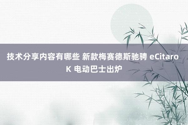 技术分享内容有哪些 新款梅赛德斯驰骋 eCitaro K 电动巴士出炉