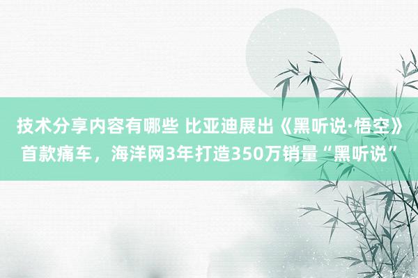 技术分享内容有哪些 比亚迪展出《黑听说·悟空》首款痛车，海洋网3年打造350万销量“黑听说”