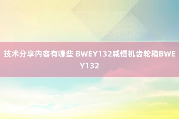 技术分享内容有哪些 BWEY132减慢机齿轮箱BWEY132