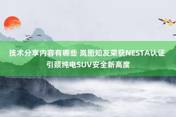 技术分享内容有哪些 岚图知友荣获NESTA认证 引颈纯电SUV安全新高度