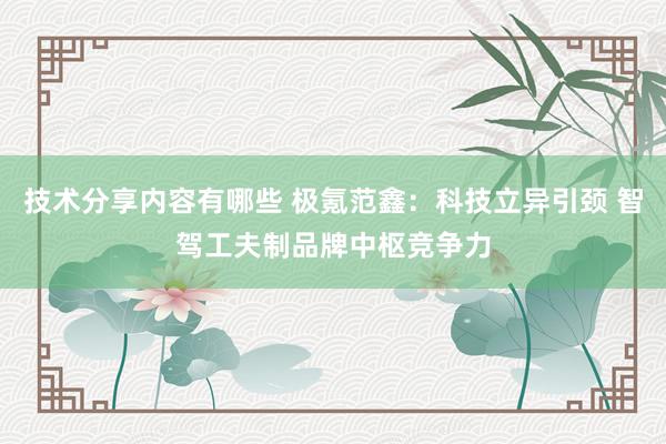 技术分享内容有哪些 极氪范鑫：科技立异引颈 智驾工夫制品牌中枢竞争力