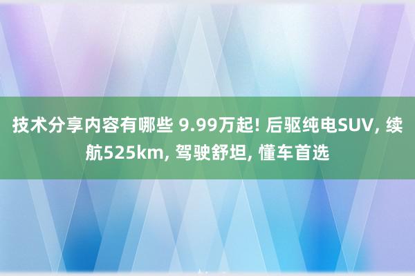 技术分享内容有哪些 9.99万起! 后驱纯电SUV, 续航525km, 驾驶舒坦, 懂车首选