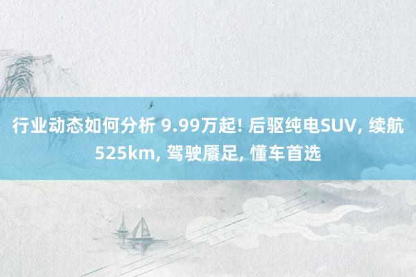 行业动态如何分析 9.99万起! 后驱纯电SUV, 续航525km, 驾驶餍足, 懂车首选