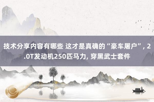 技术分享内容有哪些 这才是真确的“豪车屠户”, 2.0T发动机250匹马力, 穿黑武士套件