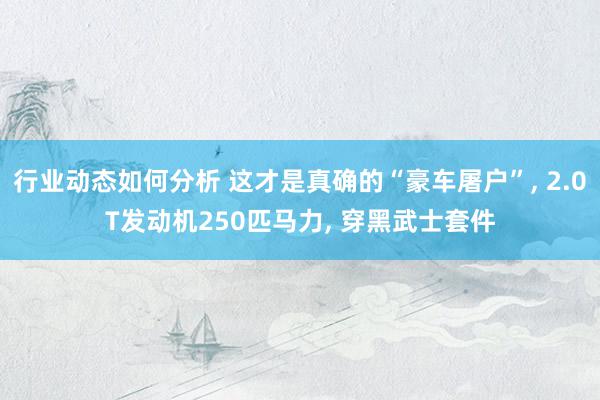 行业动态如何分析 这才是真确的“豪车屠户”, 2.0T发动机250匹马力, 穿黑武士套件