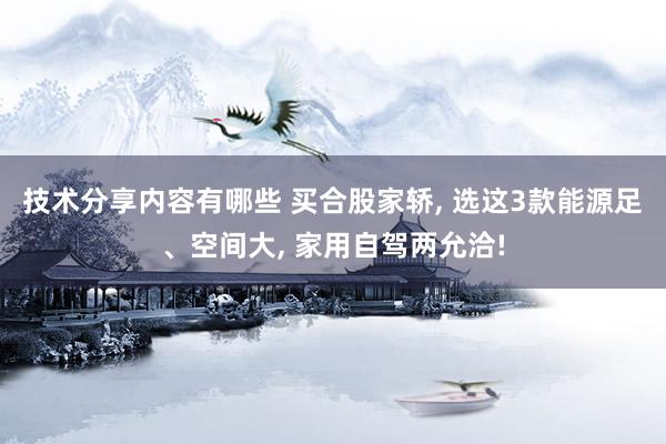 技术分享内容有哪些 买合股家轿, 选这3款能源足、空间大, 家用自驾两允洽!