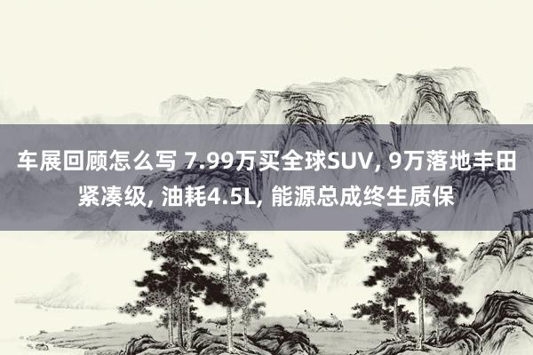 车展回顾怎么写 7.99万买全球SUV, 9万落地丰田紧凑级, 油耗4.5L, 能源总成终生质保