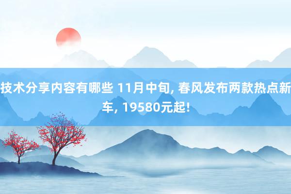 技术分享内容有哪些 11月中旬, 春风发布两款热点新车, 19580元起!