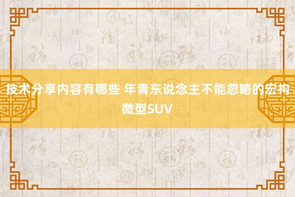 技术分享内容有哪些 年青东说念主不能忽略的宏构微型SUV