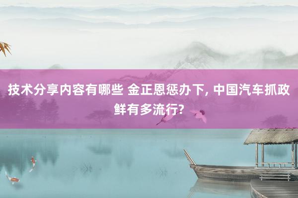 技术分享内容有哪些 金正恩惩办下, 中国汽车抓政鲜有多流行?