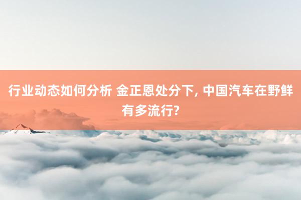 行业动态如何分析 金正恩处分下, 中国汽车在野鲜有多流行?