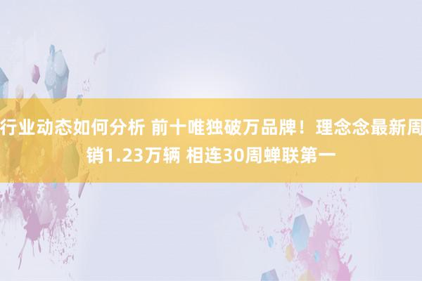 行业动态如何分析 前十唯独破万品牌！理念念最新周销1.23万辆 相连30周蝉联第一