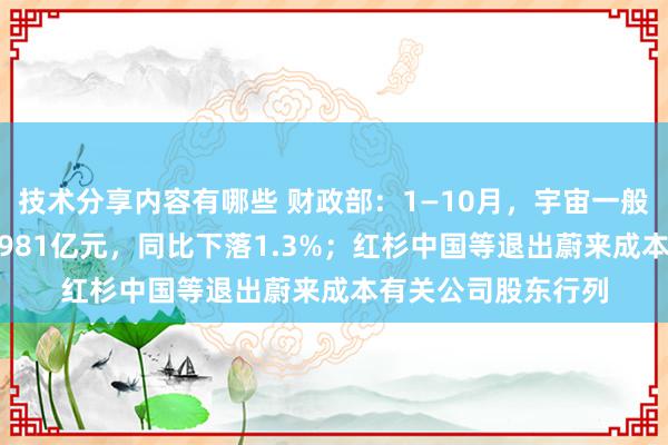 技术分享内容有哪些 财政部：1—10月，宇宙一般众人预算收入184981亿元，同比下落1.3%；红杉中国等退出蔚来成本有关公司股东行列