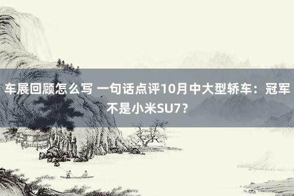 车展回顾怎么写 一句话点评10月中大型轿车：冠军不是小米SU7？