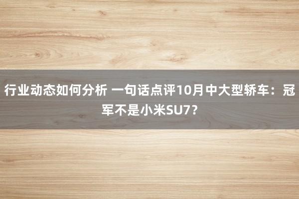 行业动态如何分析 一句话点评10月中大型轿车：冠军不是小米SU7？