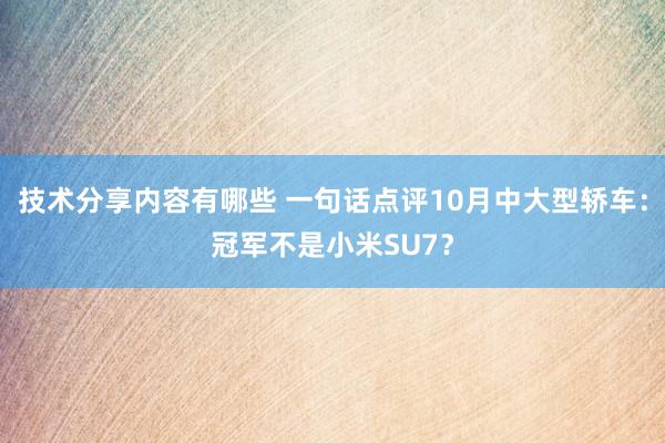 技术分享内容有哪些 一句话点评10月中大型轿车：冠军不是小米SU7？