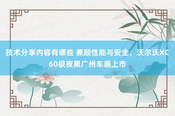 技术分享内容有哪些 兼顾性能与安全，沃尔沃XC60极夜黑广州车展上市