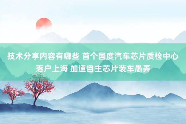 技术分享内容有哪些 首个国度汽车芯片质检中心落户上海 加速自主芯片装车愚弄