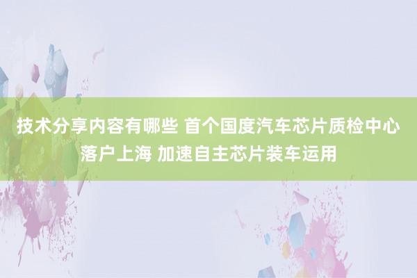 技术分享内容有哪些 首个国度汽车芯片质检中心落户上海 加速自主芯片装车运用