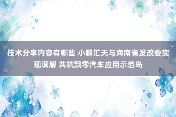 技术分享内容有哪些 小鹏汇天与海南省发改委实现调解 共筑飘零汽车应用示范岛