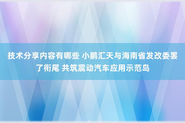 技术分享内容有哪些 小鹏汇天与海南省发改委罢了衔尾 共筑震动汽车应用示范岛