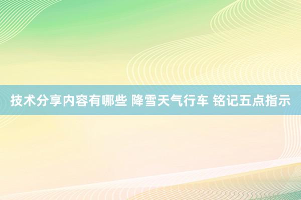 技术分享内容有哪些 降雪天气行车 铭记五点指示