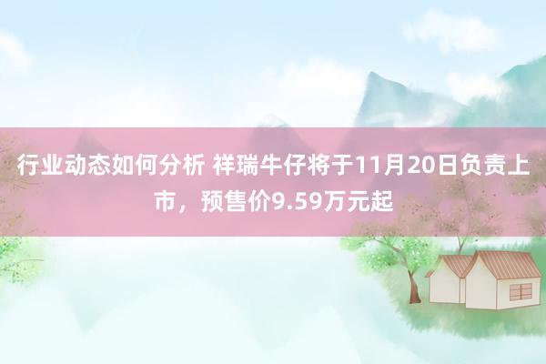 行业动态如何分析 祥瑞牛仔将于11月20日负责上市，预售价9.59万元起