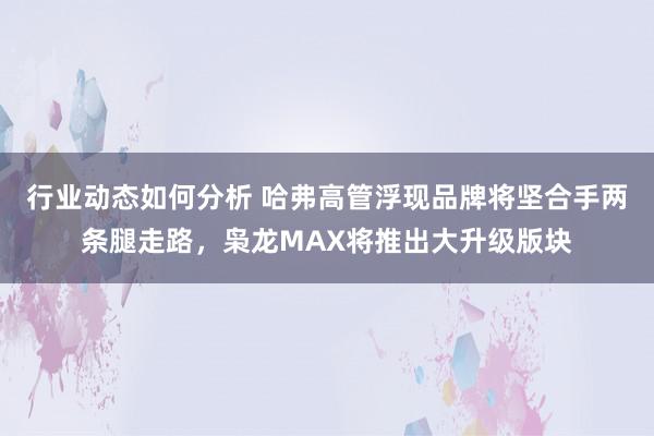 行业动态如何分析 哈弗高管浮现品牌将坚合手两条腿走路，枭龙MAX将推出大升级版块