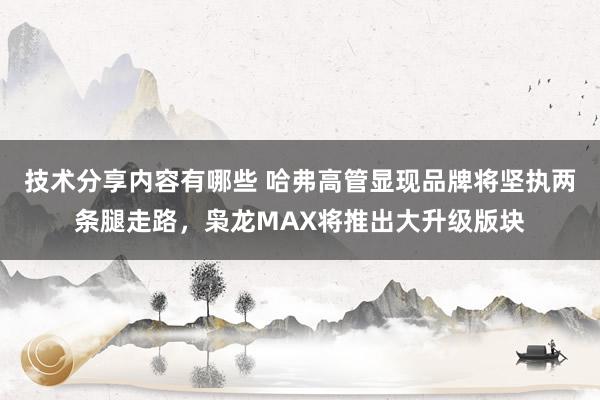 技术分享内容有哪些 哈弗高管显现品牌将坚执两条腿走路，枭龙MAX将推出大升级版块